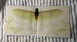 2015 Karma Featuring Delirium Vinyl Record Limited Edition Very Rare New