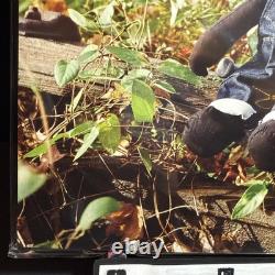 Billy Woods Golliwog Green Brown Marbled Vinyl Record Japan Big Love OBI LE 500