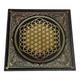 Bring Me The Horizon Sempiternal (2020) Patina Rust Vinyl /500 Newbury Comics
