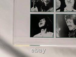 CASIOPEA MINT JAMS Clear Green Vinyl Record LP 2022 Japan Pressing MHJL-185