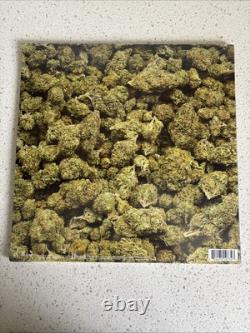 DR. DRE 2001 25TH ANNIVERSARY EDITION LIMITED 2LP New Green Clear Split Vinyl