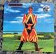 David Bowie Earthling (hq-180g, Rsd 2015) Mint. Sealed. Hype Stickers