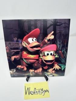 Donkey Kong Country 2 Vinyl LP Record VGM DKC GREEN Diddy Super Nintendo SNES