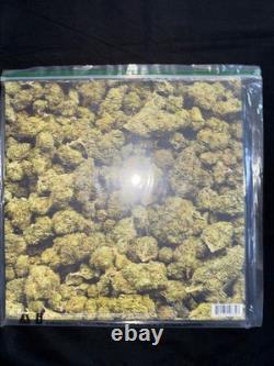 Dr. Dre 2001 25th Anniversary Edition Clear Split Green Vinyl Record LE x/2001