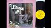 Fleetwood Mac Peter Green S Fleetwood Mac Full Album 1968 Vinyl Rip