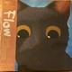 Flow Original Motion Picture Soundtrack 2xlp Vinyl (floodwater) 2025 Ltd Ed