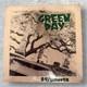 Green Day 39 Smooth Lookout Records Vintage Lp Vinyl Record Used Japan