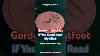 Gordon Lightfoot If You Could Read My Mind Green Vinyl Fridaymusic Gordonlightfoot New Vinyl Lp