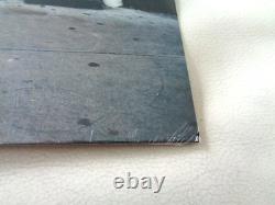 Green Day Shenanigans Brand New Factory Sealed Vinyl Album (2009 Reprise USA) Green Day Shenanigans Brand New Factory Sealed Vinyl Album (2009 Reprise USA)