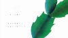 Hiroshi Yoshimura Green Full Album Stream