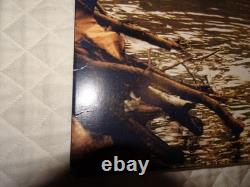 Jerry Cantrell Boggy Depot green vinyl 2 LP Alice in chains