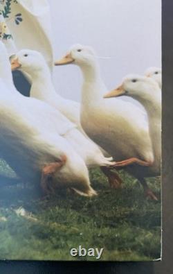 KACEY MUSGRAVES Deeper Into The Well 2xLP Splatter Liquid Vinyl Bad World OOP