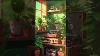 Lofi Vibes Vinyl Records Retro Speakers U0026 Green Plants Lofi Beatstostudy Relaxmusic