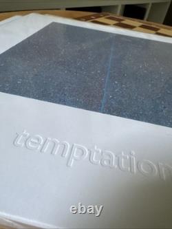 New Order-4 VINYL LOT-Ceremony (Version 1 & 2)-Temptation-Everythings Gone green