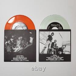 Nirvana 7 / 45 Vinyl Collection Molly's Lips Sliver Oh The Guilt and More