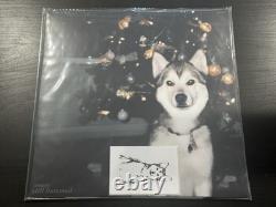 Nouns Still Bummed Red/Green Nebula Vinyl BRAND NEW, IN HAND! SHIPS NOW