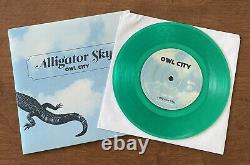 Owl City Alligator Sky 7 Vinyl