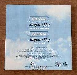 Owl City Alligator Sky 7 Vinyl