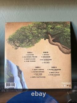 Rebelution In The Moment Rare Blue & Green in Beer Vinyl New