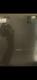 Role Model Kansas Anymore (the Longest Goodbye) Green Vinyl Lp Rsd Black Friday