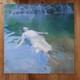 She's Green Wisteria Ep Sage Green Vinyl Lprecord Dream Pop Shoegaze 2023 Record
