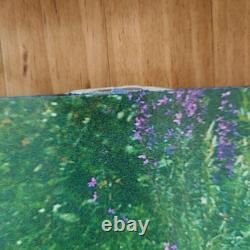 She's Green Wisteria EP Sage Green Vinyl LPRecord Dream Pop Shoegaze 2023 Record