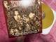 Stanley Simmons Signed Gold Vinyl Lp Limited Evan Stanley Nick Simmons