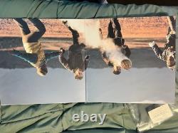 The Secret Life of Walter Mitty Limited Edition Translucent Green Vinyl