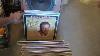 Vintage Lp Records For Sale Part 1b Solo Artists On Craigslist New Haven Ct